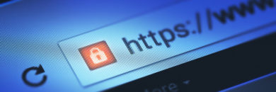Protecting Web-Based Work: Connecting People, Web Browsers and Security