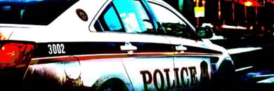 Interpol, African Nations Arrest 1,006 in Sweeping ‘Operation Serengeti’